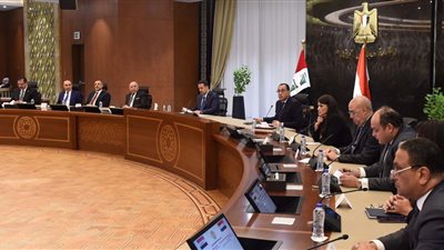 وزير التجارة والصناعة: 500 مليون دولار حجم الاستثمارات العراقية في مصر