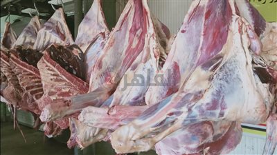 الصحة تشن حملات على المنشآت الغذائية ومنافذ بيع اللحوم قبل عيد الأضحى