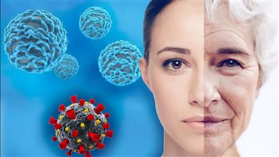 دراسة: المرونة المناعية هي مفتاح مقاومة المرض والعيش لفترة أطول