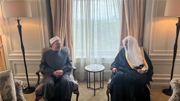 مفتي الجمهورية يلتقي