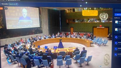 شيخ الأزهر: مصر واحة السلام وبلد الحضارة والتاريخ.. والإمارات تبذل كل جهد لنشر السَّلام بين الناس