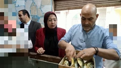 بيطري المنوفية يضبط 400 كجم سردين مملح غير صالح للاستهلاك الآدمي بالباجور