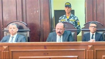 المشدد 15 سنة لقاتل الطفل فارس ابن زوجته عرفيًا بالإسماعيلية