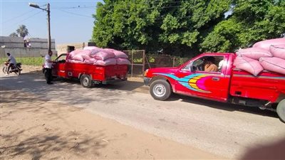 ضبط سيارتين محملتين بـ 5 أطنان قمح دون ترخيص وتسليمها للمطاحن بالمنيا