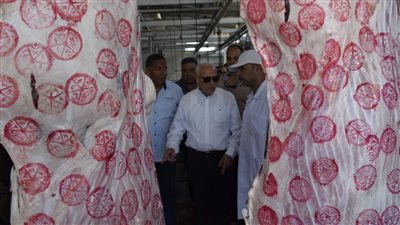 استعدادا لـ عيد الأضحى.. محافظ بورسعيد يتابع سير العمل داخل محطة تسمين الماشية والمجزر الآلي | صور