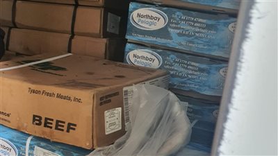 ضبط 970 كجم أسماكا مجمدة مجهولة المصدر بكفر الشيخ