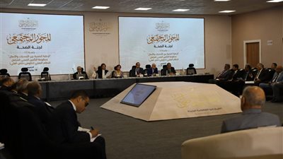 مقرر الأسرة بـ الحوار الوطني: نسب الطلاق غير مقلقة بالمجتمع المصري.. والجميع توافق على تغيير قانون الوصاية