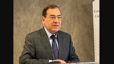 وزير البترول يقيل رئيس شركة البنزين خطي-إيلاب بعد 4 أشهر من توليه المنصب