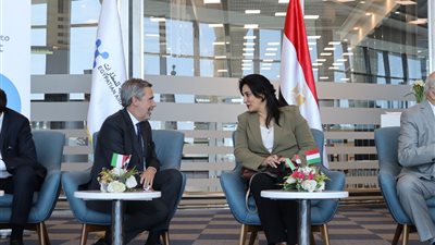 تسيير 38 رحلة أسبوعيا من مطار مالبينسا بميلانو إلى المدن المصرية