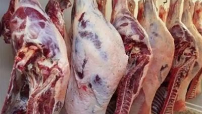 زراعة الشيوخ تجتمع لبحث تحقيق الاكتفاء الذاتي من اللحوم والألبان.. غدًا