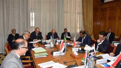 أبو الغيط يؤكد أهمية تعزيز التعاون العربي الإفريقي وعدم ترك الساحة لأطراف أخرى