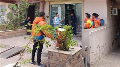 بعد تشميع سوبر ماركت مدينة نصر.. شكاوى جديدة من سوء خدمة أبلكيشن طلبات