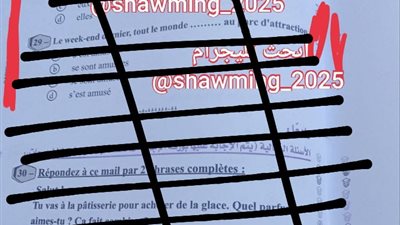 بعد دقائق من البدء.. شاومينج يزعم نشر أجزاء من امتحان اللغة الفرنسية لطلاب الثانوية العامة