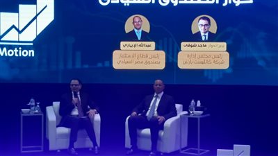 الصندوق السيادي: قطاع الصناعات الاستيراتيجية بمصر يتمتع بربحية كبيرة في نظر المستثمر الأجنبي