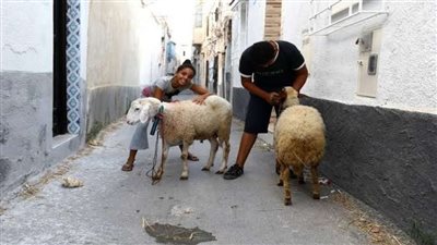 رسميًا موعد عيد الأضحى 2023 مصر.. اعرف أيام الإجازة ومفاجأة ثالث يوم