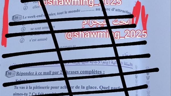  شاومينج يزعم نشر