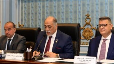 بعد جدل حول المادة الثانية.. تضامن النواب توافق على مشروع قانون دعم صندوق قادرون باختلاف