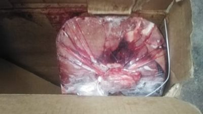 ضبط لحوم ودواجن غير صالحة للاستهلاك الآدمي في حملة مكبرة على المجازر والمحلات بالأقصر