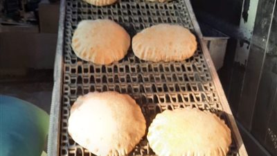 ضبط 131 مخالفة تموينية بالدقهلية