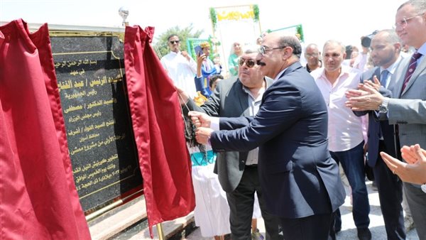 محافظ أسوان