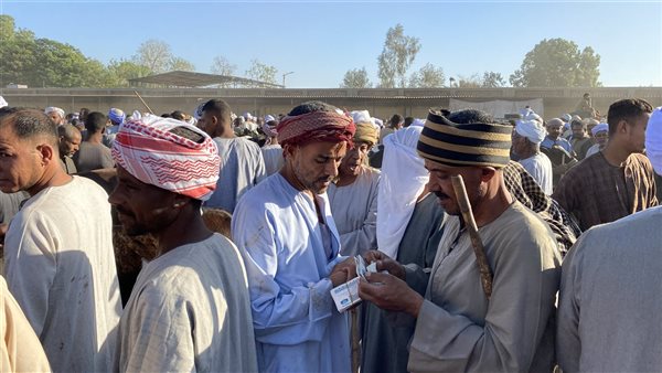 سوق المواشي بالأقصر