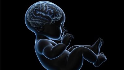 خلل بروتين الأميلويد يؤثر على دماغ الأجنة ويصيب بالزهايمر | دراسة 