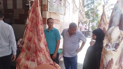 قبل عيد الأضحى.. تحرير 19 محضرًا لمحلات بيع لحوم في قنا 