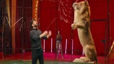 تامر حسني يلعب مع الأسد داخل السيرك في كواليس تاج