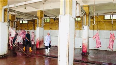 فتح المجازر طوال أيام عيد الأضحى المبارك بشمال سيناء 