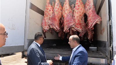 محافظ الدقهلية يدشن مبادرة لبيع اللحوم بـ180 جنيهًا 