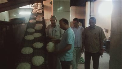 تحرير 27 محضرا تموينيا في حملة مكبرة بكفر الشيخ | صور