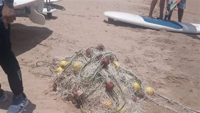 بعد حادث قرش الغردقة.. حملة من المحميات لإزالة الشباك حول شواطئ القرى السياحية| صور