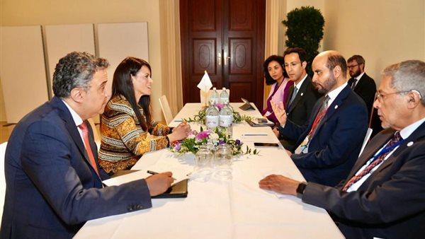 وزيرة التعاون الدولي