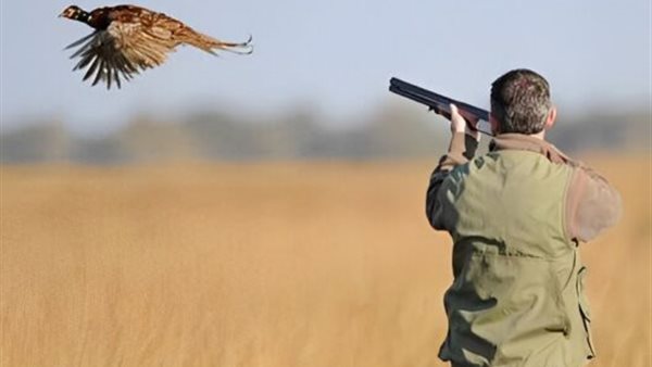 اصطياد الحيوانات