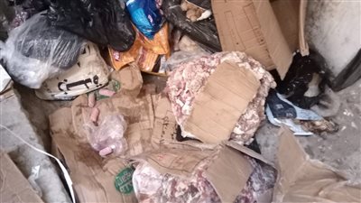 الجيزة: ضبط 1.3 طن لحوم غير صالحة للاستخدام الآدمي