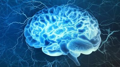 في اليوم العالمي لـ صحة الدماغ.. عادات صحية لتجنب الإصابة بالاضطرابات العقلية