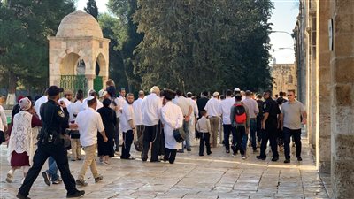  الاتحاد الأوروبي يفرض عقوبات رادعة على المستوطنين الإسرائيليين 