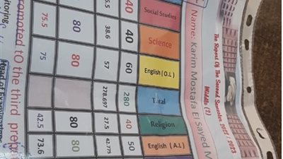 الطلاب جابوا 295 من 280.. أولياء أمور يستغيثون بوزير التعليم من إهمال مدرسة لغات في الإسكندرية