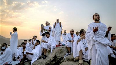 عالم بالأوقاف: الوقوف بعرفة لحظة العتق من الذنوب