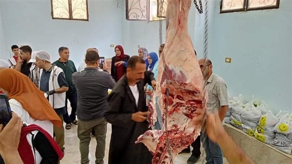 استعدادات تضامن المنوفية