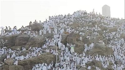 الأمين المساعد للبحوث الإسلامية من جبل عرفات: من أراد السعادة عليه بالإسلام