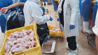 ضبط 2035 كيلو لحوم مجهولة المصدر وغير صالحة للاستهلاك الآدمي بالشرقية