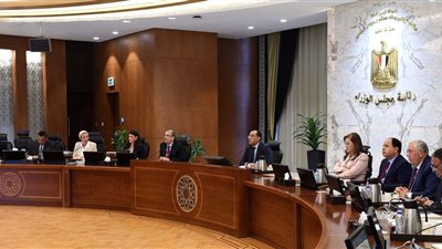 أبرزها الشراء بالعملات الأجنبية.. ضوابط جديدة لاستحواذ الأجانب على كيانات طبية في مصر | انفراد