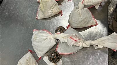 ضبط راكب قادم من عمان بحوزته 73 ثعبانا بمطار القاهرة