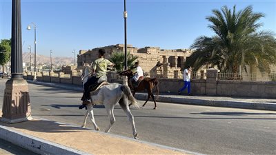 الجلابية البلدي والخيول والتجول على الكورنيش.. أبرز مظاهر احتفالات أهالي الأقصر بالعيد