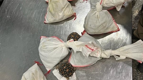 ضبط راكب قادم من