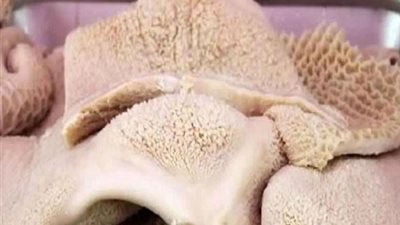 طريقة تنظيف الكرشة بعد وضعها في الفريزر.. خطوات بسيطة لنتيجة مضمونة