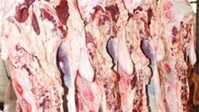 الزراعة: بعثة الأطباء البيطريين المصريين تبدا أعمالها في الكشف على الأضاحي في مجازر مِنى خلال موسم الحج