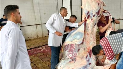 مجازر الدقهلية تستقبل أضاحي العيد لذبحها مجانًا 