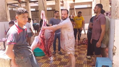 محافظ كفر الشيخ يعلن ذبح 1498 رأس ماشية بالمجازر وتقديم جميع الخدمات مجانًا